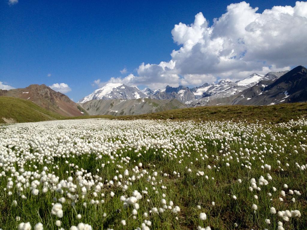 Albergo Quarto Pirovano Stelvio Geçidi Dış mekan fotoğraf